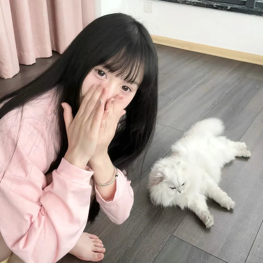 小狗吉米走私事件